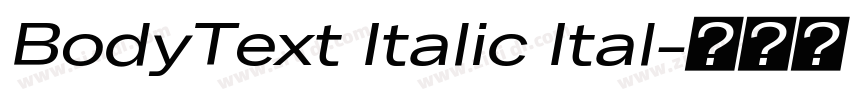 BodyText Italic Ital字体转换